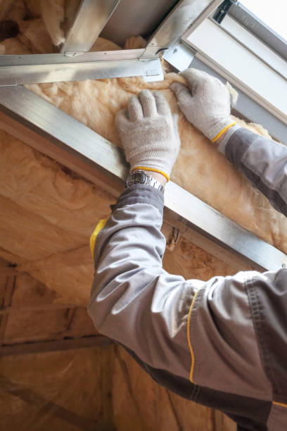 Professional Insulation Contractor in MO