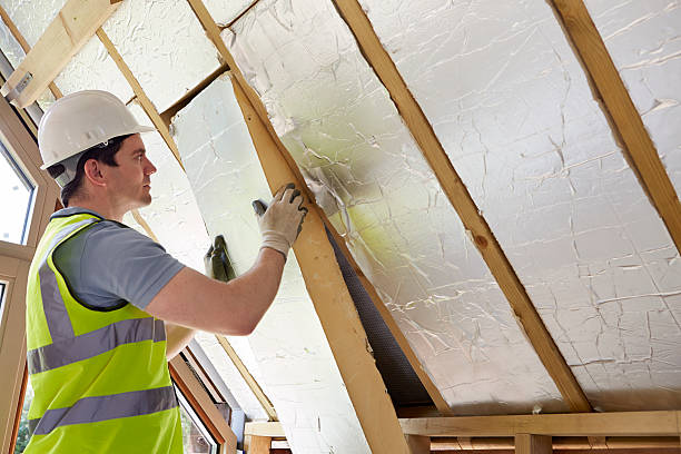 Best Insulation Installation Services in Cabool, MO